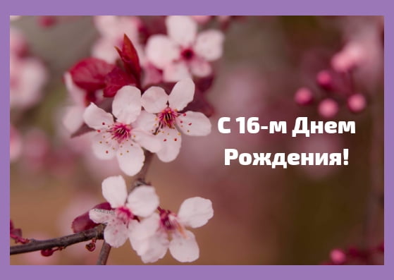 Позитивные открытки на шестнадцатилетие gif. Открытки с поздравлениями на 16 ...