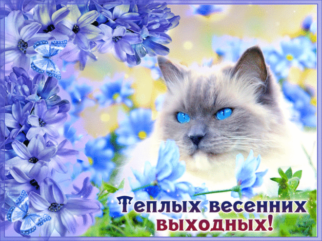 Красивые открытки замечательных выходных. Открытки хороших выходных скачать б...