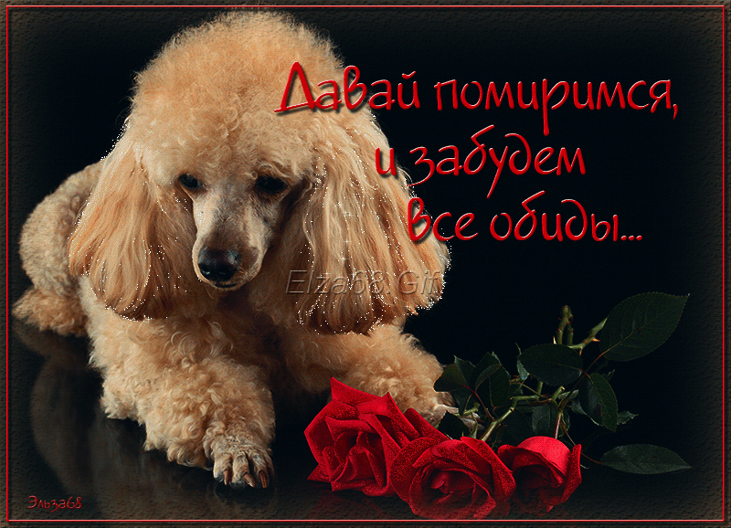 Электронные открытки давай помиримся скачать бесплатно.     