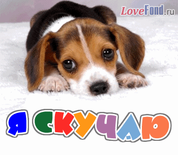 Анимационные открытки скучаю по тебе. Открытки я так скучаю скачать бесплатно.