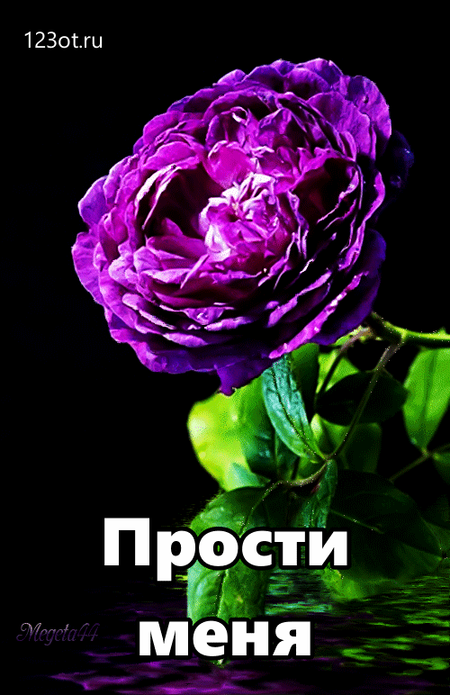 Красивые открытки с извинениями скачать бесплатно. Открытки прости меня gif.