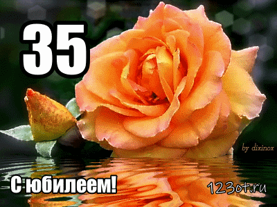 Пожелания на день рождения 35 лет. Открытки с юбилеем 35 лет анимационные. 