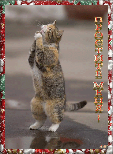 Красивые открытки с извинениями скачать бесплатно. Открытки прости меня gif.