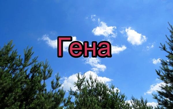 Открытки с днём рождения Гена. Открытки с именем Геннадий скачать бесплатно.