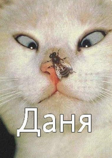 Открытки с именем Даниил gif. Открытки с именем Данил скачать бесплатно.