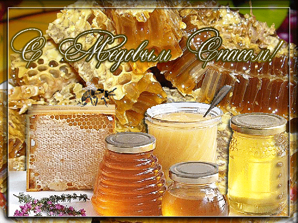 Открытки с медовым спасом скачать бесплатно. Праздничные открытки с медовым спасом.