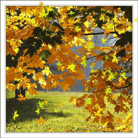 Чудесные открытки на тему Золотая Осень скачать бесплатно gif.