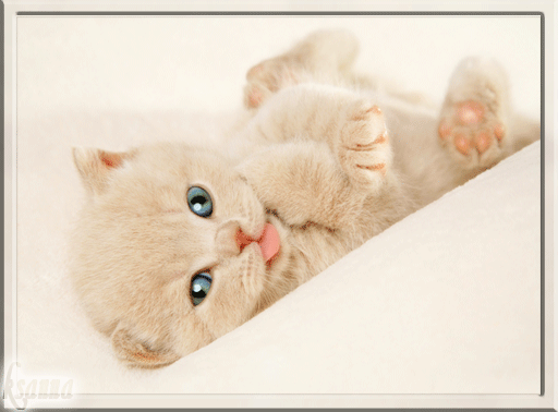 Анимационные открытки скучаю по тебе. Открытки я так скучаю скачать бесплатно.