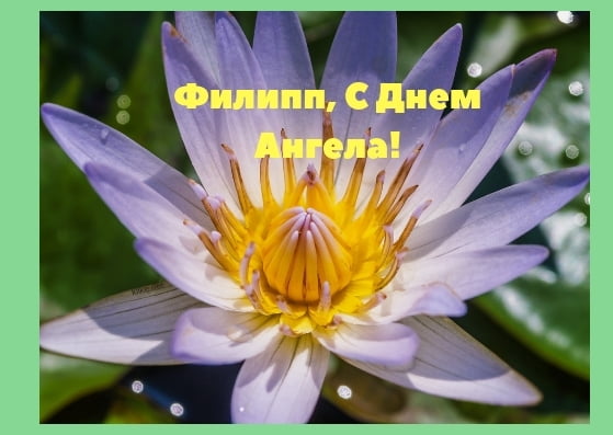 Красивые открытки с мужскими именами. С днём рождения Филипп открытки. Открыт...