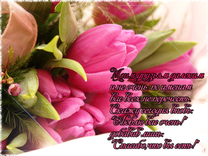 Красивые открытки для любимых друзей. Открытки о дружбе скачать бесплатно.