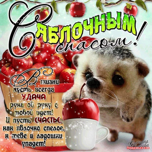 Открытки с яблочным спасом скачать бесплатно. Открытки с яблочным спасом gif. 