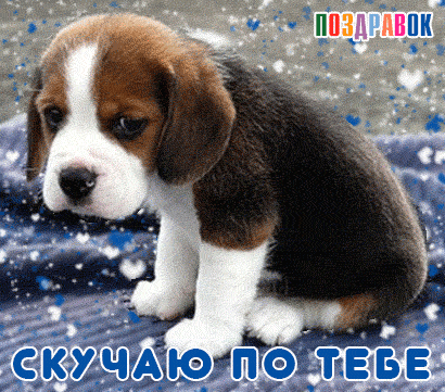 Анимационные открытки скучаю по тебе. Открытки я так скучаю скачать бесплатно.