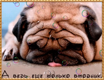 Позитивные открытки на вторник. Картинки про вторник скачать бесплатно.