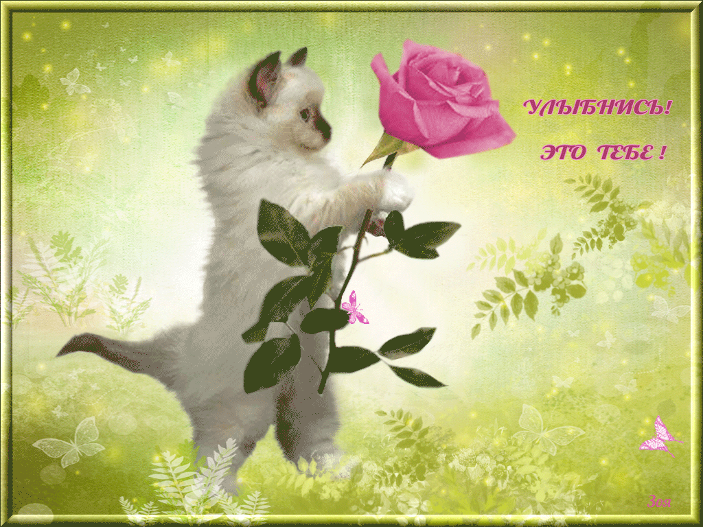 Весёлые открытки с пожеланиями улыбнись. Открытки с улыбкой скачать бесплатно.