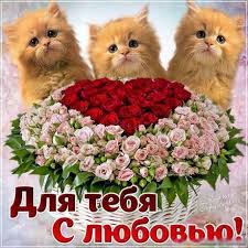 Красивые открытки для тебя скачать бесплатно. Анимационные открытки тебе gif