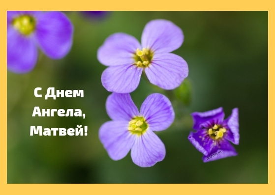 Открытки с именем Матвей gif. Открытки с именем Матвей с признаниями в любви.