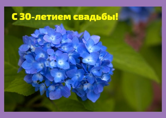 Открытки на Жемчужную свадьбу 30 лет родителям скачать бесплатно.