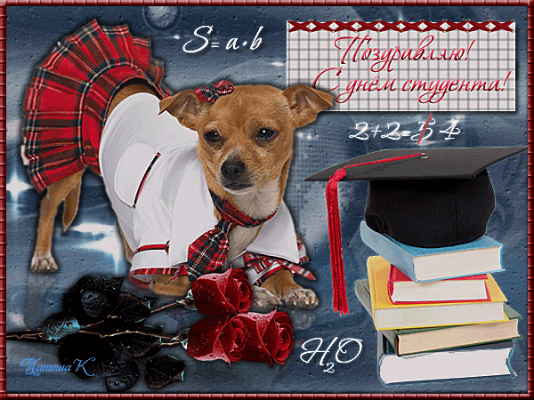 Анимационные открытки с днем студента с наилучшими пожеланиями скачать беспла...