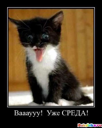 Открытки с пожеланиями отличной среды. Красивые открытки на среду.