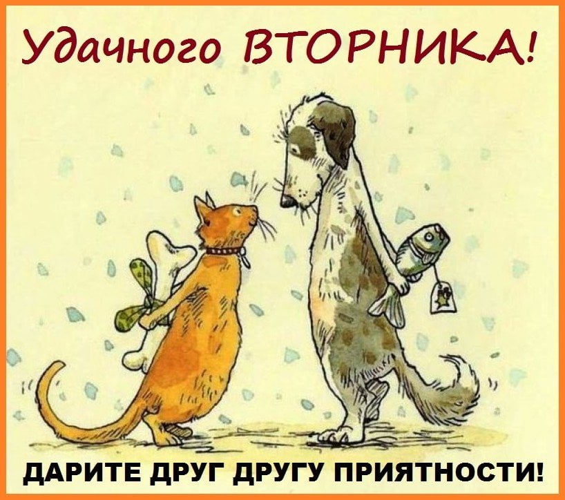 Позитивные открытки на вторник. Картинки про вторник скачать бесплатно.