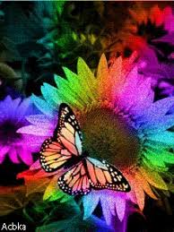 Мерцающие открытки с бабочками. Открытки с красивыми бабочками скачать беспла...