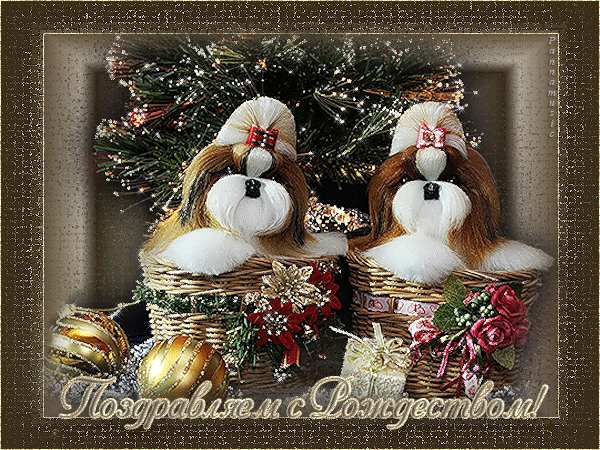 Мерцающие поздравительные открытки на Рождество Христово скачать бесплатно.