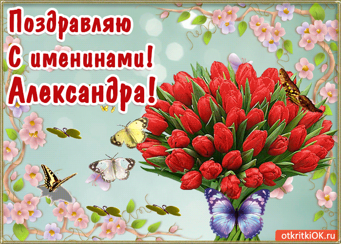 Открытки с именем Александра скачать бесплатно. Поздравительные открытки с им...