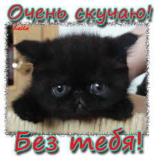 Анимационные открытки скучаю по тебе. Открытки я так скучаю скачать бесплатно.