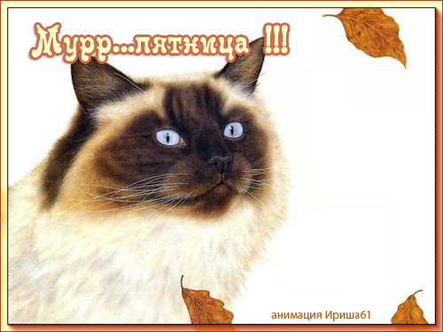 Прикольные открытки на пятницу. Открытки с пожеланиями на пятницу скачать бес...