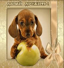 Красивые анимационные открытки давай дружить скачать бесплатно.