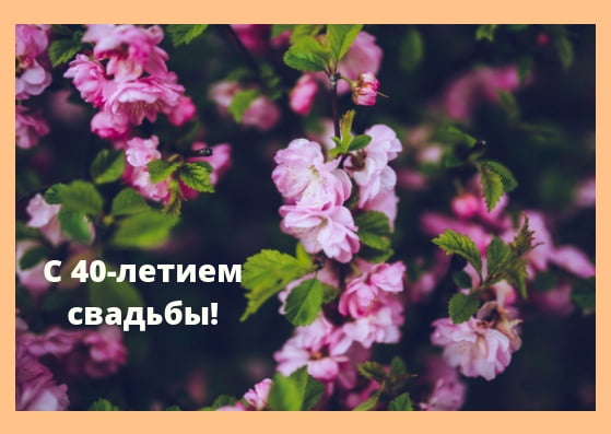 Открытки на Рубиновую свадьбу 40 лет с красивыми пожеланиями.