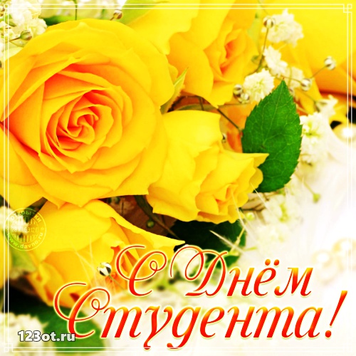 Анимационные открытки с днем студента с наилучшими пожеланиями скачать беспла...