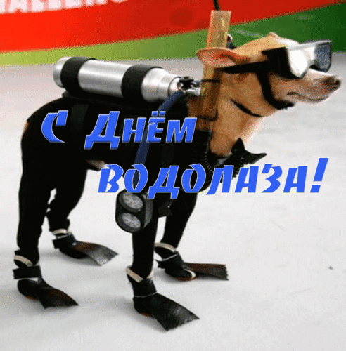 Бесплатные поздравительные открытки с днем водолаза. Открытки с днем водолаза...