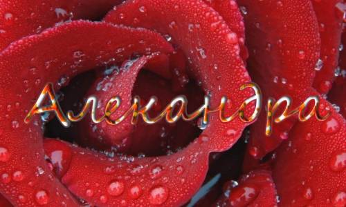 Открытки с именем Александра скачать бесплатно. Поздравительные открытки с им...
