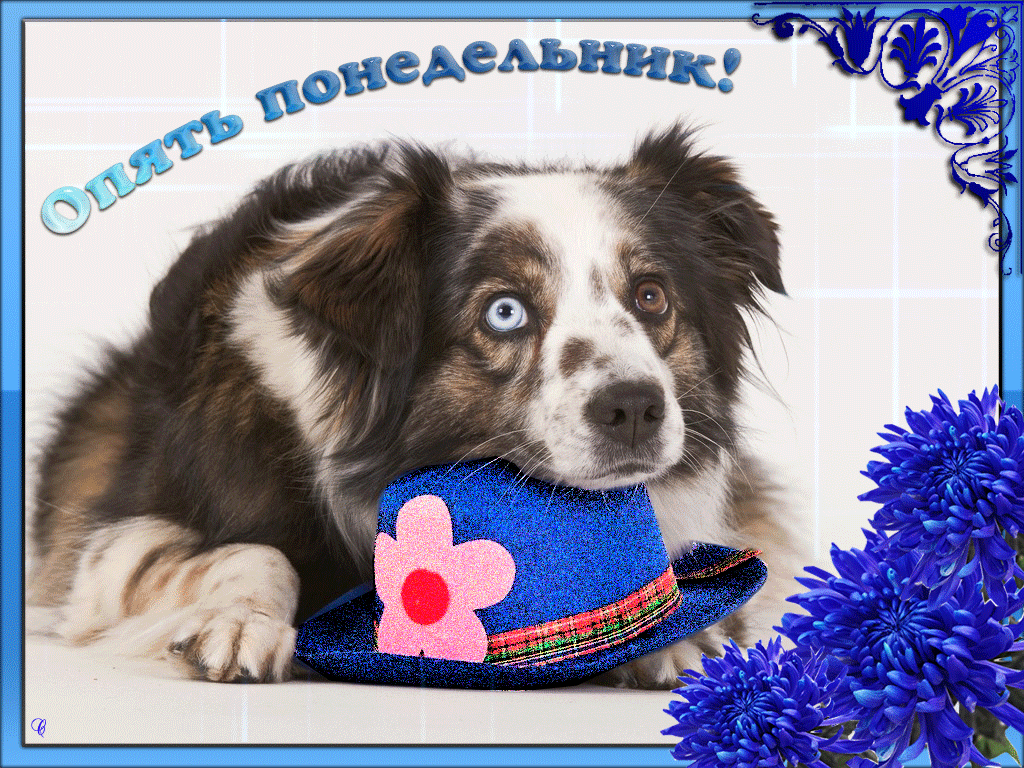 Открытки с пожеланиями легкого понедельника скачать бесплатно.