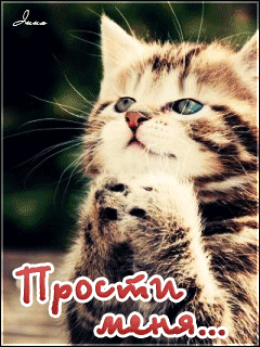Красивые открытки с извинениями скачать бесплатно. Открытки прости меня gif.