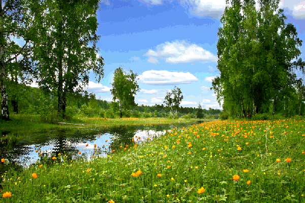 Открытки на тему лета скачать бесплатно. Анимационные открытки про лето.