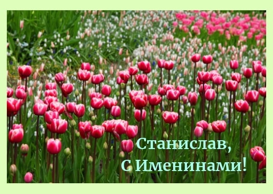 С днём рождения Станислав открытки. Открытки с именем Стас скачать бесплатно.