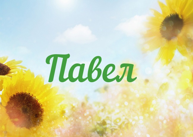 Анимационные открытки с именем Павел. Открытки с именем Паша. С днём рождения...