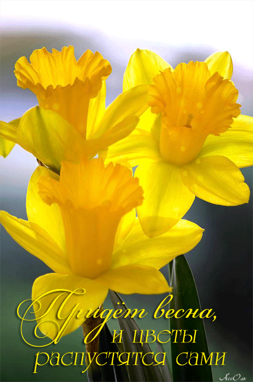 Красивые мерцающие открытки на весеннюю тематику. Скачать бесплатно открытки с весной.