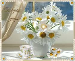 Открытка с пожеланиями доброго утра на каждый день скачать бесплатно 