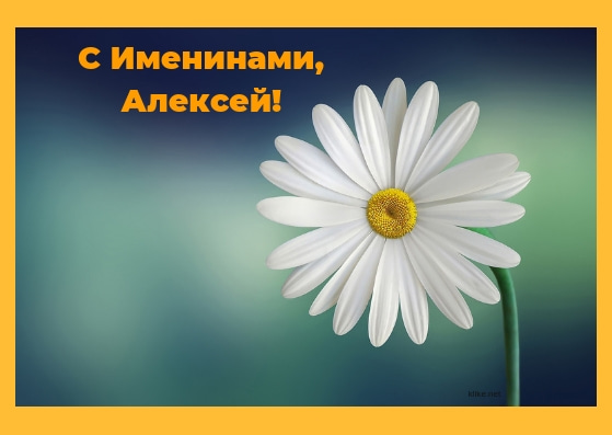 Открытки с именем Алексей скачать бесплатно. Открытки с именем Леша.