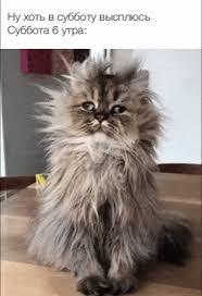 Интересные открытки на субботу. Веселые открытки на выходные.