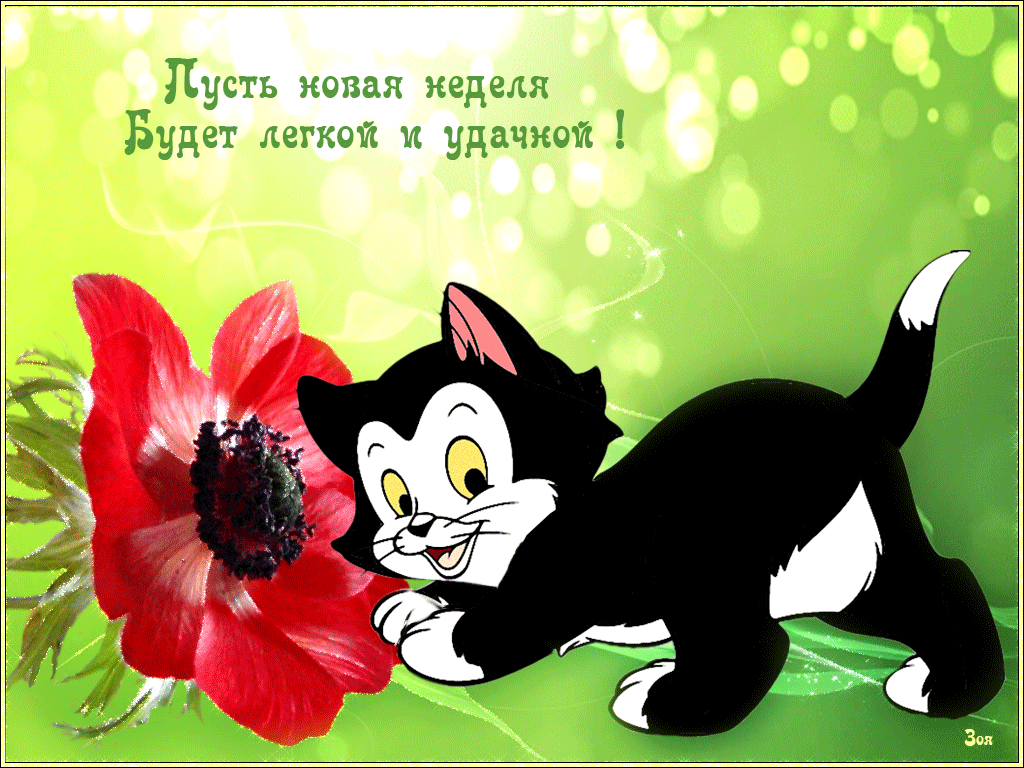 Забавные открытки с пожеланиями удачной недели. Открытки удачной недели скача...