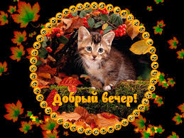 Анимационные открытки приятного вечера. Скачать бесплатно открытки хорошего в...