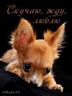 Анимационные открытки скучаю по тебе. Открытки я так скучаю скачать бесплатно.