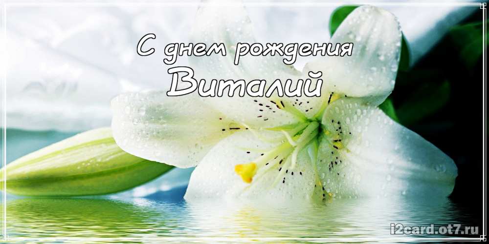 Открытки с именем Виталий скачать бесплатно. Прикольные открытки с мужскими и...
