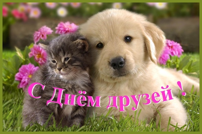 Веселые поздравительные открытки с днем друзей скачать бесплатно.