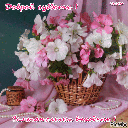 Интересные открытки на субботу. Веселые открытки на выходные.