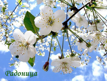 Открытки на родительский день скачать бесплатно. Открытки на Радоницу.